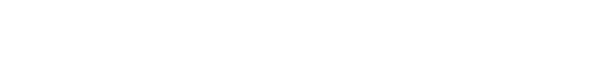 blazeInternational--Logo-Horizontal-Grey